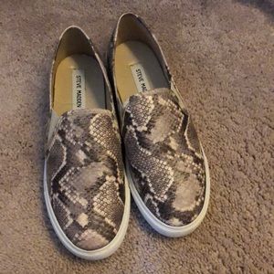Snake skin Steve Madden slip ons